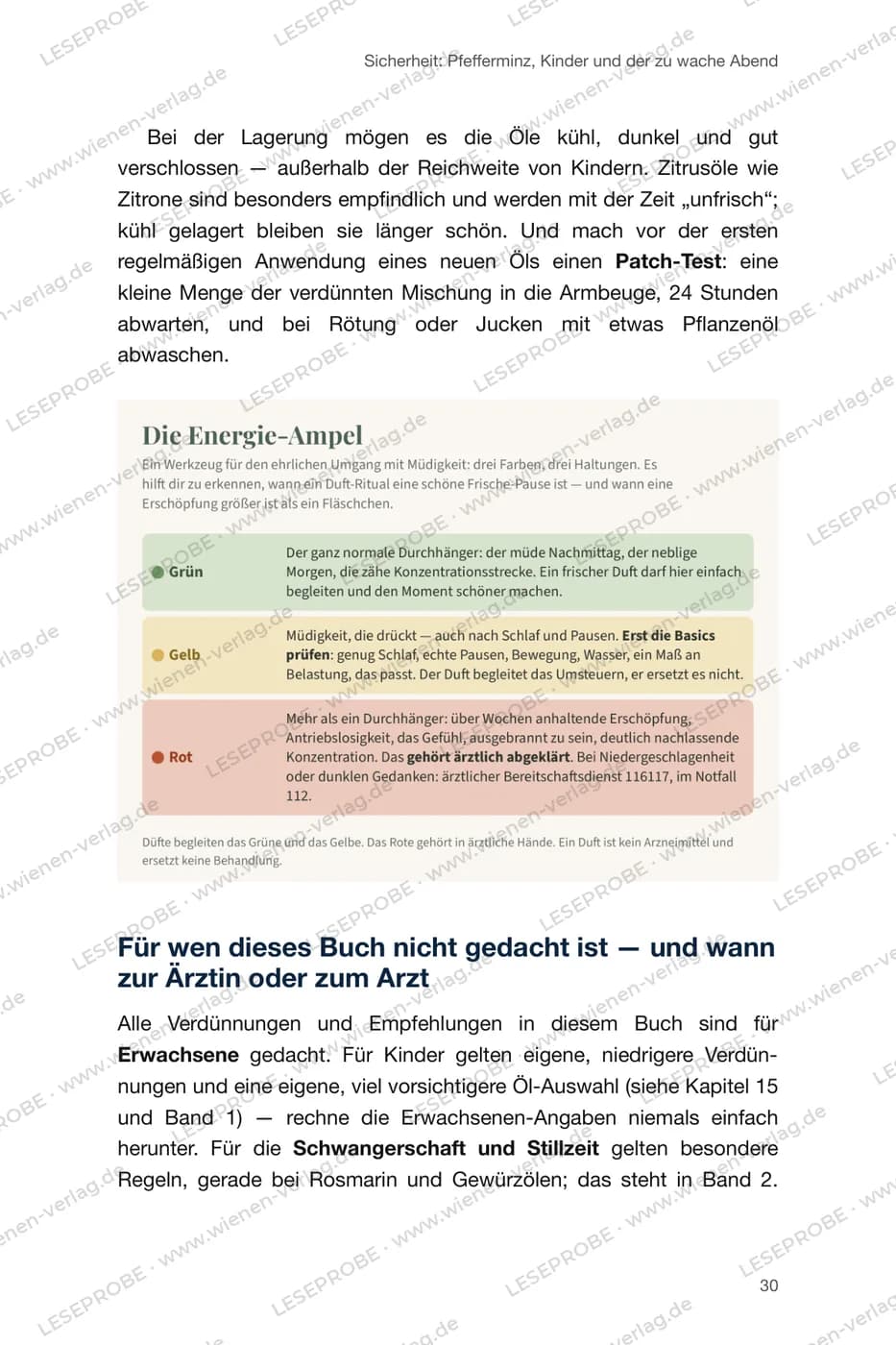 Seite 3 der Leseprobe: Die Energie-Ampel