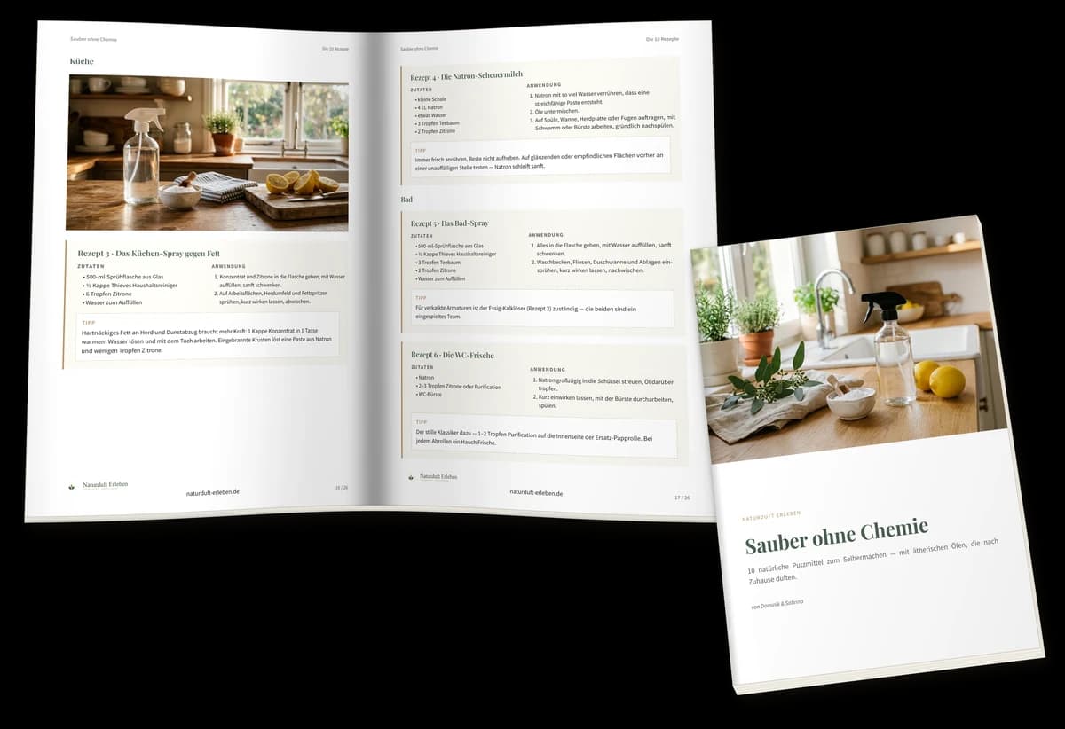 Sauber ohne Chemie — Vorschau des PDFs, 28 Seiten