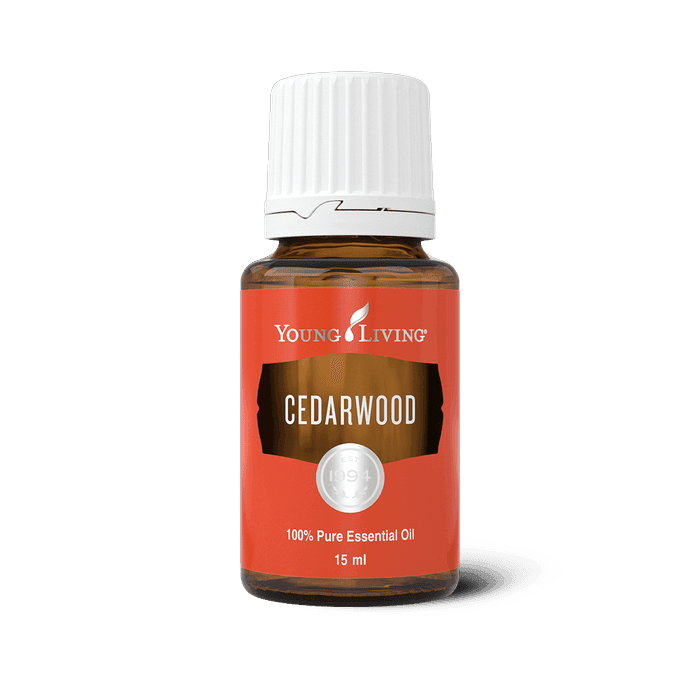 Young Living Zedernholz