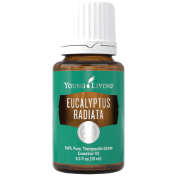 Young Living Eucalyptus Radiata – ätherisches Öl