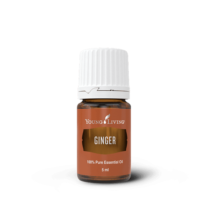 Young Living Ingwer