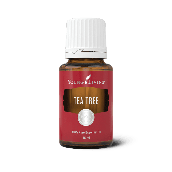 Young Living Teebaum