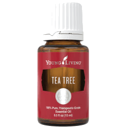 Young Living Teebaum – ätherisches Öl
