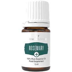 Young Living Rosmarin – ätherisches Öl