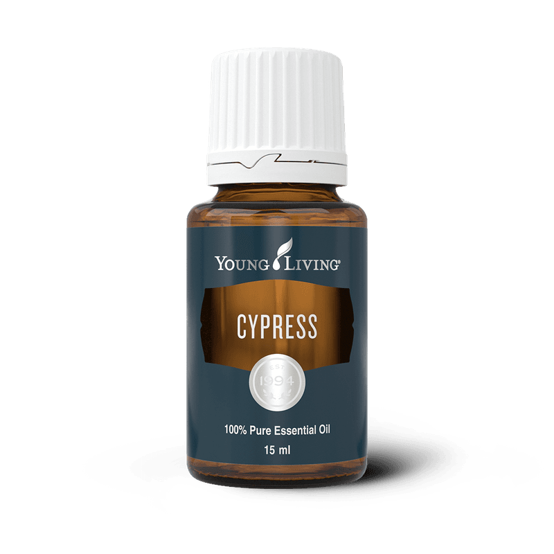 Young Living Zypresse