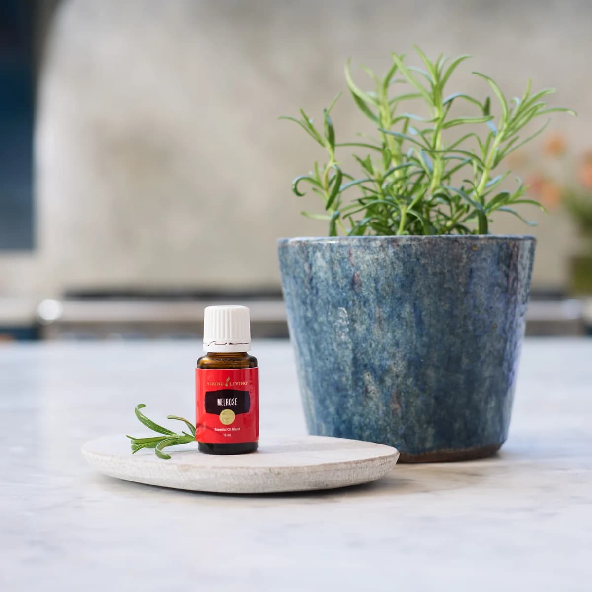 Ein Fläschchen Young Living Melrose 15 ml steht auf einem runden Steinuntersetzer neben einem Rosmarinzweig und einem blauen Keramiktopf.