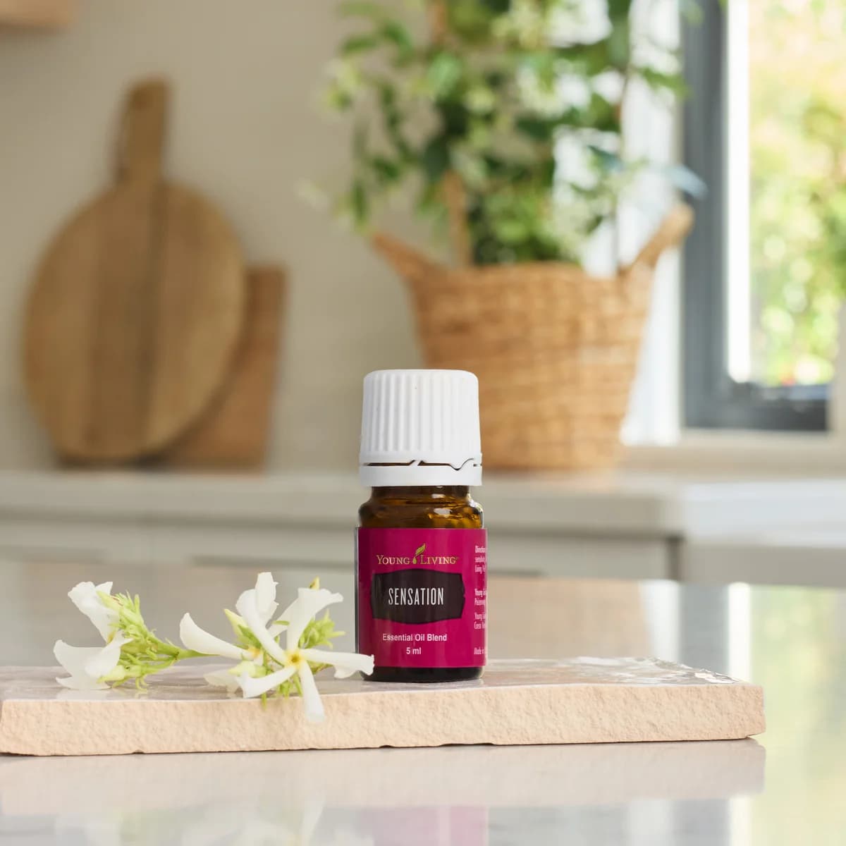 Ein Fläschchen Young Living Sensation 5 ml steht auf einem hellen Steinbrett neben weißen Jasminblüten in einer Küche mit Fenster.