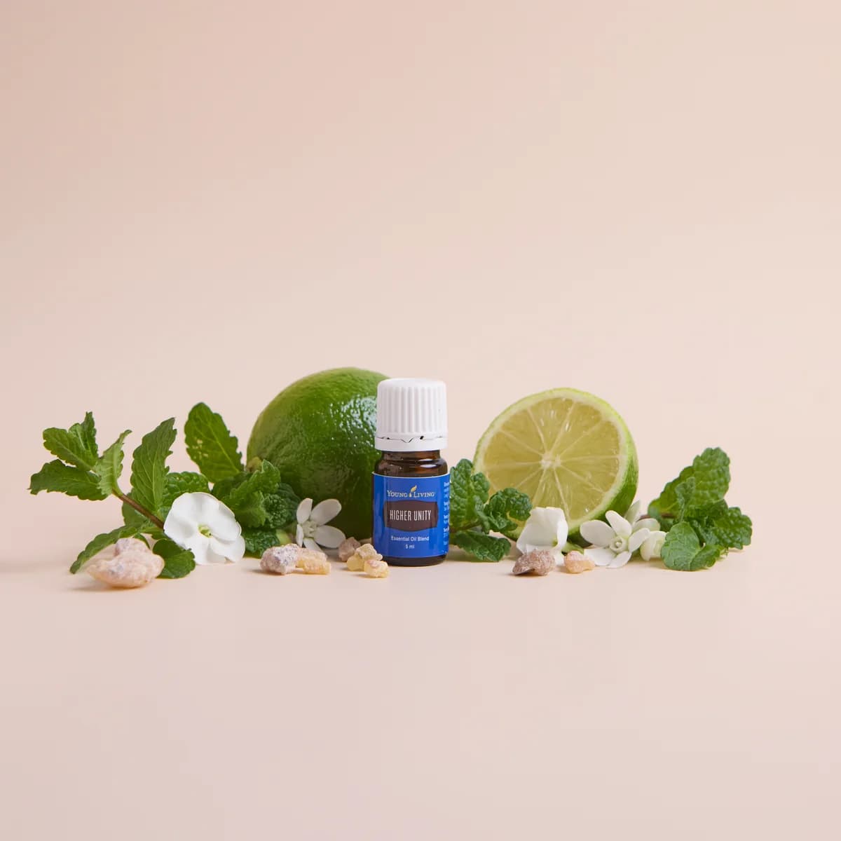 Ein Fläschchen Young Living Higher Unity 5 ml steht vor pfirsichfarbenem Hintergrund zwischen Limetten, Minzblättern, weißen Blüten und Harzstücken.