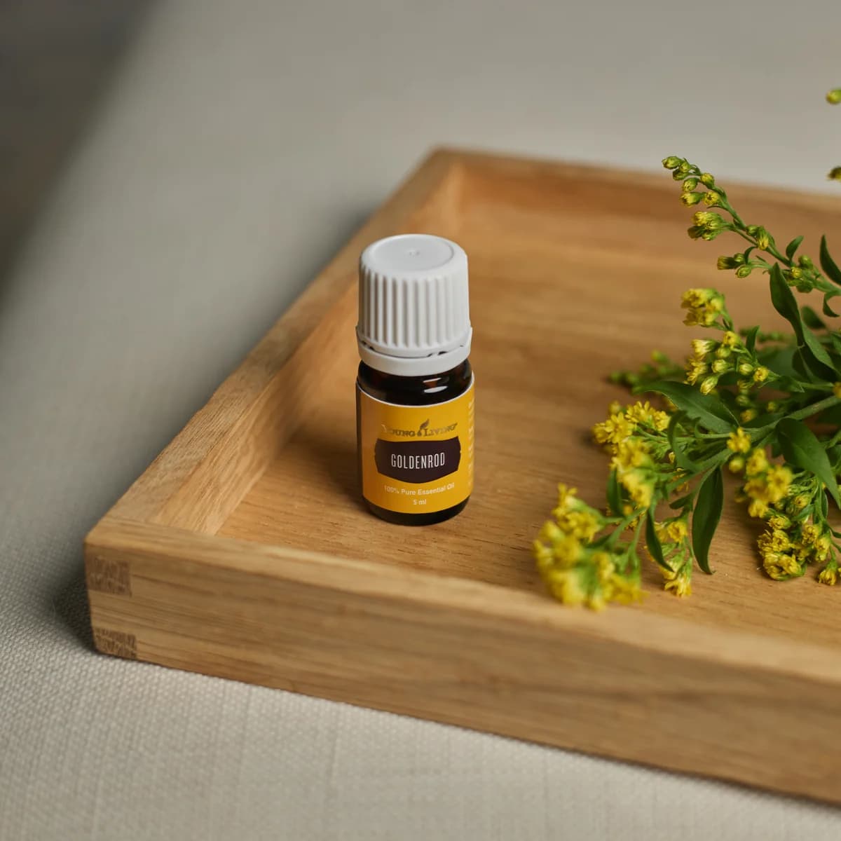 Ein Fläschchen Young Living Goldrutenöl 5 ml steht in einem flachen Holztablett neben gelb blühenden Goldrutenzweigen auf hellem Stoff.