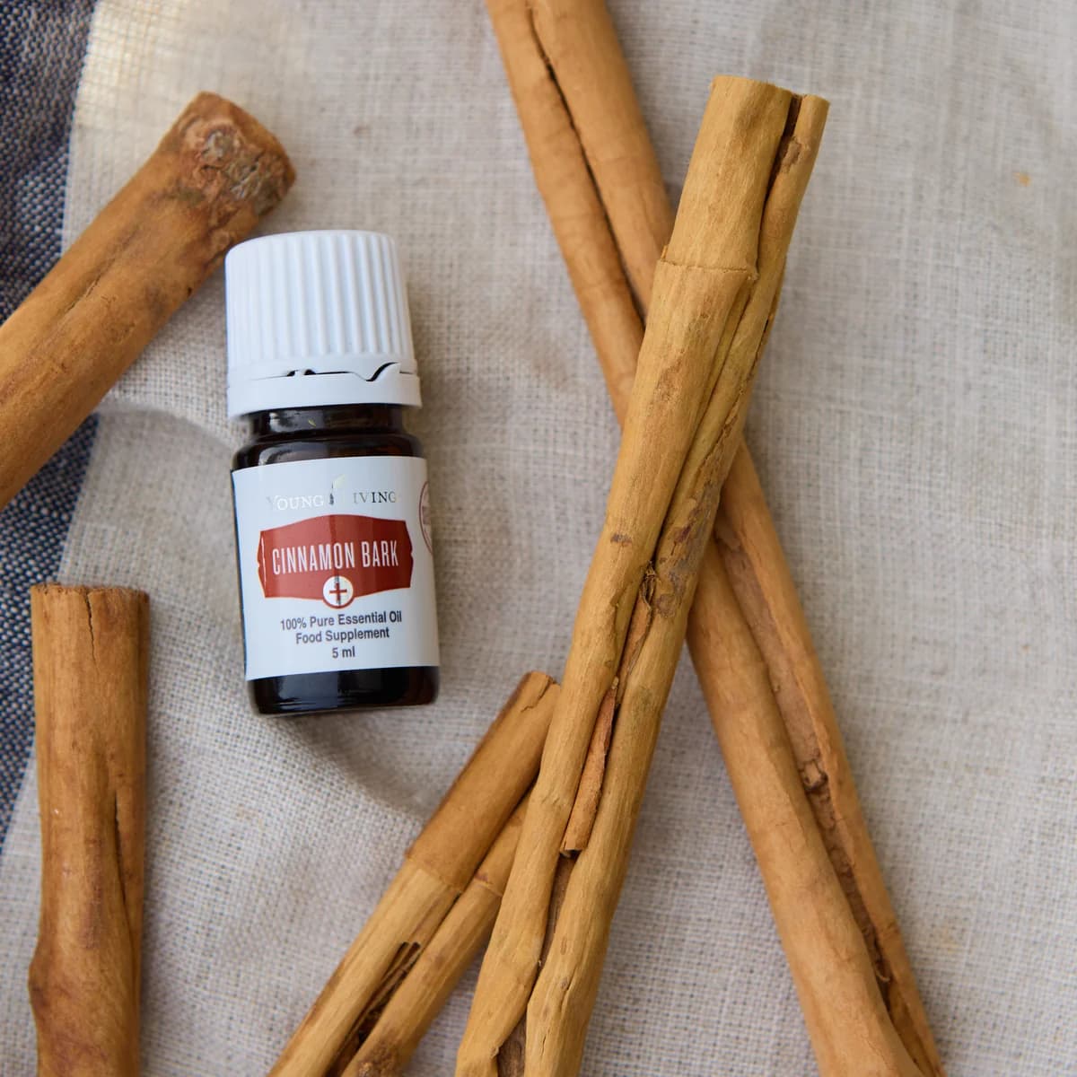 Ein Fläschchen Young Living Cinnamon Bark+ 5 ml liegt zwischen Zimtstangen auf einem hellen Leinentuch mit blauen Streifen.