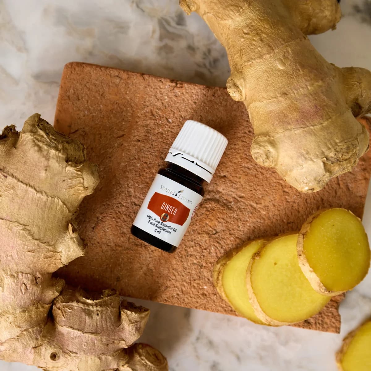 Ein Fläschchen Young Living Ginger+ 5 ml liegt auf einer Terrakottaplatte zwischen frischen Ingwerknollen und Ingwerscheiben.