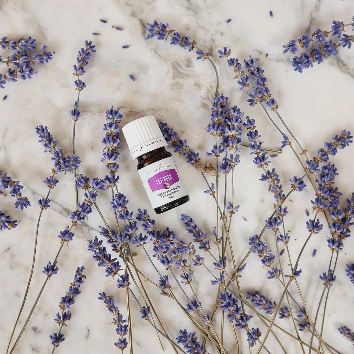 Ein Fläschchen Young Living Lavendel+ 5 ml liegt auf heller Marmorfläche, umgeben von zahlreichen Lavendelstängeln mit violetten Blüten.
