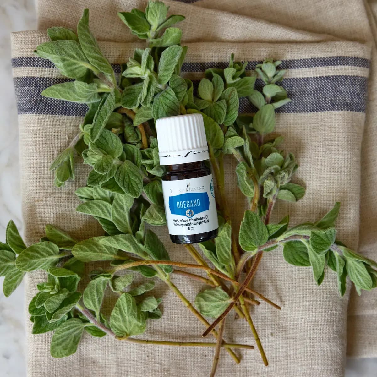 Ein Fläschchen Young Living Oregano+ 5 ml liegt auf frischen Oreganozweigen, die auf einem hellen Leinentuch mit blauem Streifen ausgebreitet sind.
