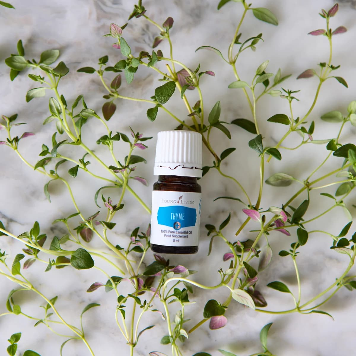 Ein Fläschchen Young Living Thyme+ 5 ml liegt auf hellem Marmor zwischen frischen Thymianzweigen mit kleinen grünen Blättern.