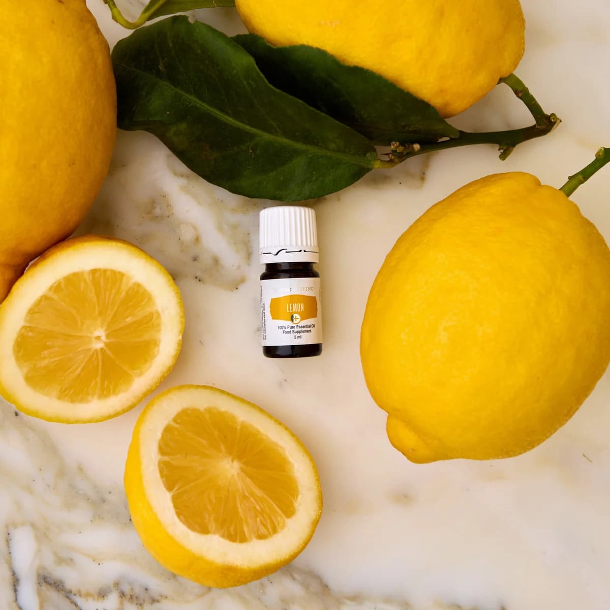 Ein Fläschchen Young Living Lemon+ 5 ml liegt auf hellem Marmor zwischen ganzen und halbierten Zitronen sowie grünen Zitronenblättern.