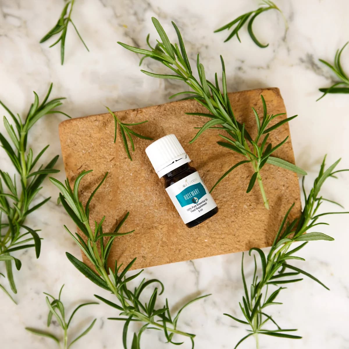 Ein Fläschchen Young Living Rosemary+ 5 ml liegt auf einer Terrakottaplatte zwischen frischen Rosmarinzweigen auf hellem Marmor.