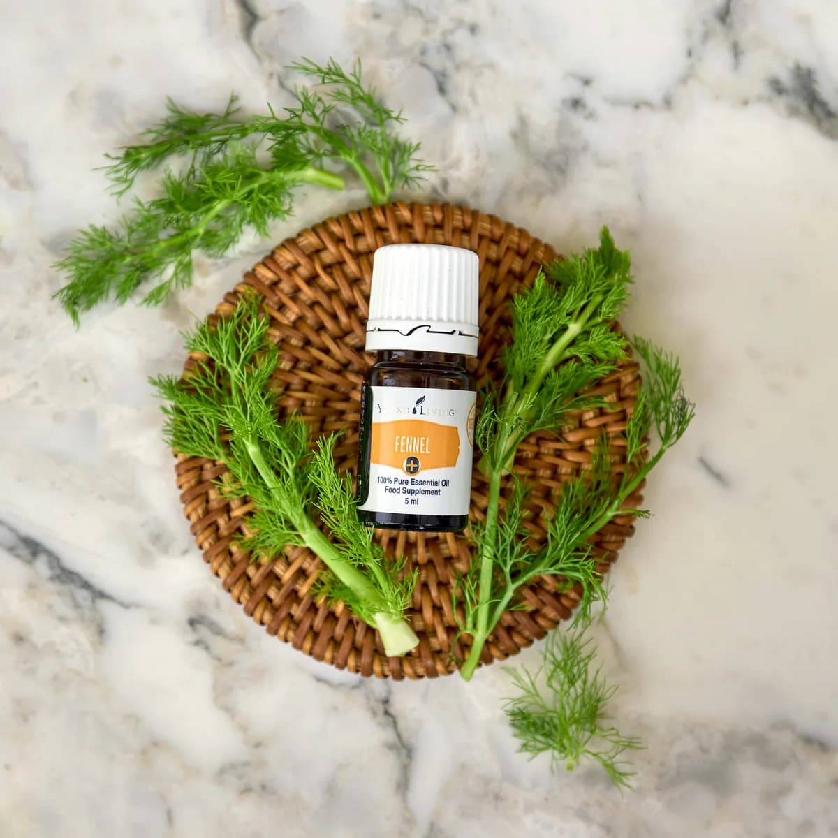 Ein Fläschchen Young Living Fennel+ 5 ml steht auf einem runden Rattanuntersetzer zwischen frischem Fenchelgrün auf hellem Marmor.