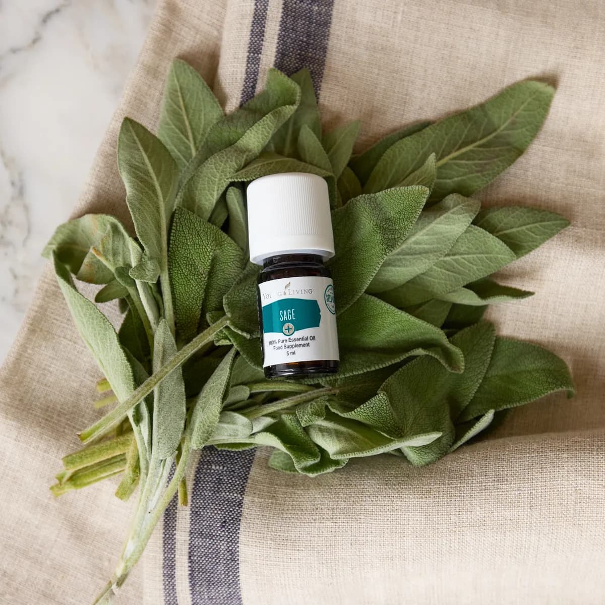 Ein Fläschchen Young Living Sage+ 5 ml liegt auf einem Bund frischer Salbeiblätter.