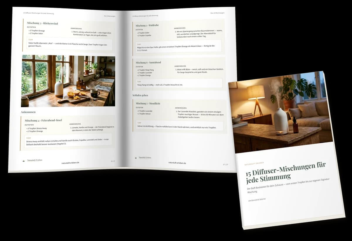 Was soll heute in den Diffuser? — Vorschau des PDFs, 28 Seiten