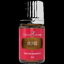 Young Living Zistrose – ätherisches Öl