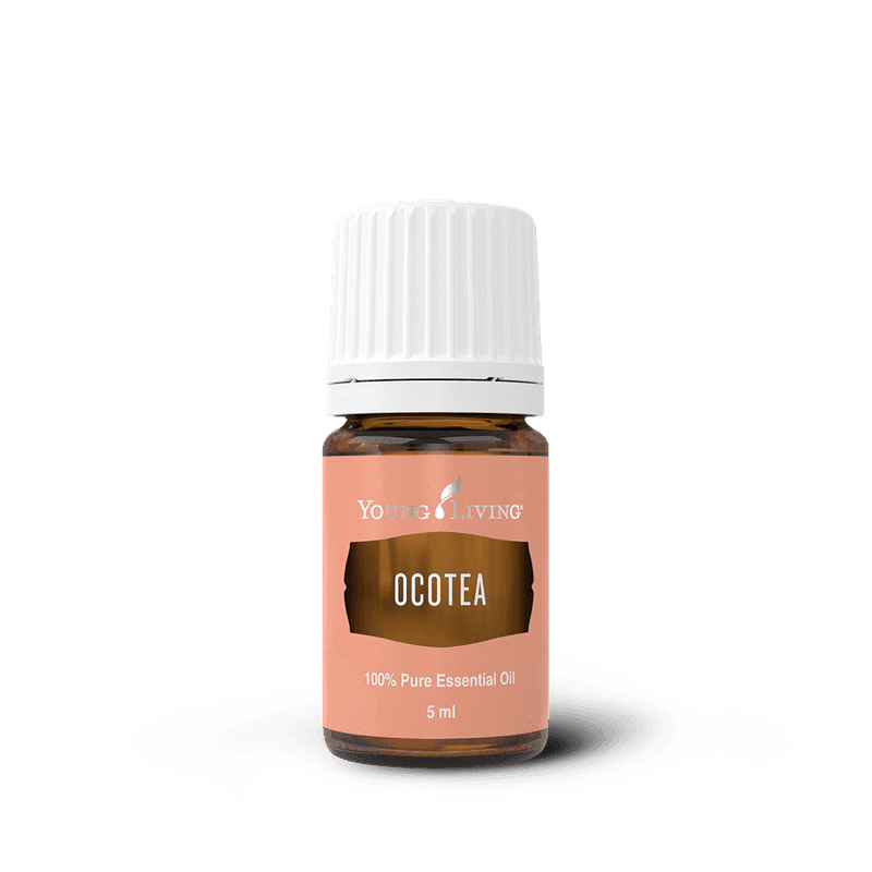 Young Living Ocotea – Ätherisches Öl