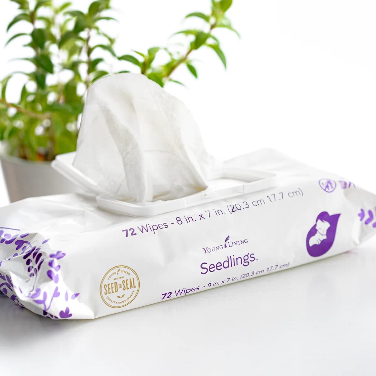 Eine Packung Young Living Seedlings Baby Wipes liegt auf einer weißen Fläche, ein Tuch ragt aus der Öffnung, dahinter eine grüne Topfpflanze.