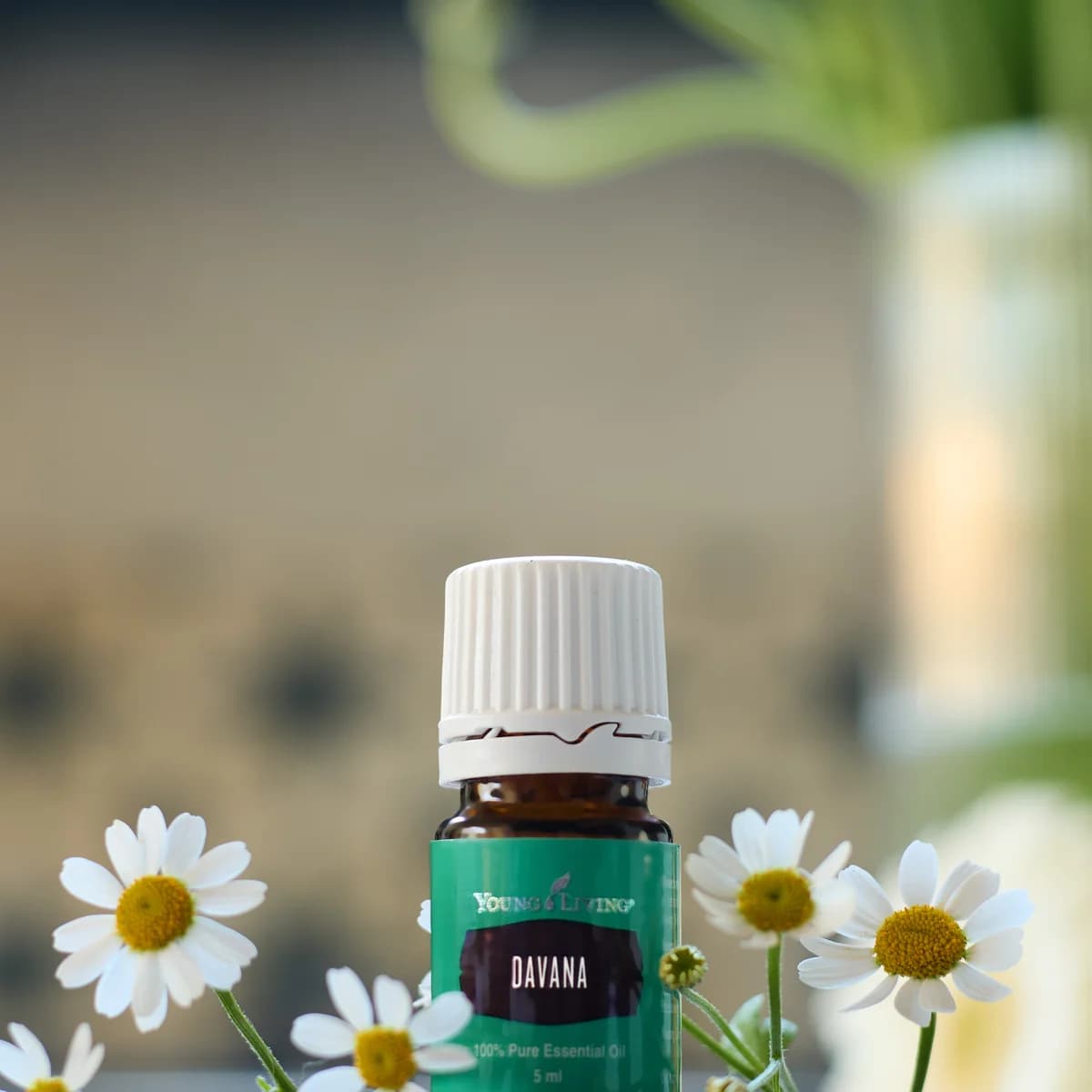 Ein Fläschchen Young Living Davana Öl 5 ml steht auf einer Steinplatte zwischen kleinen weißen Blüten, im Hintergrund unscharf ein Blumenstrauß.