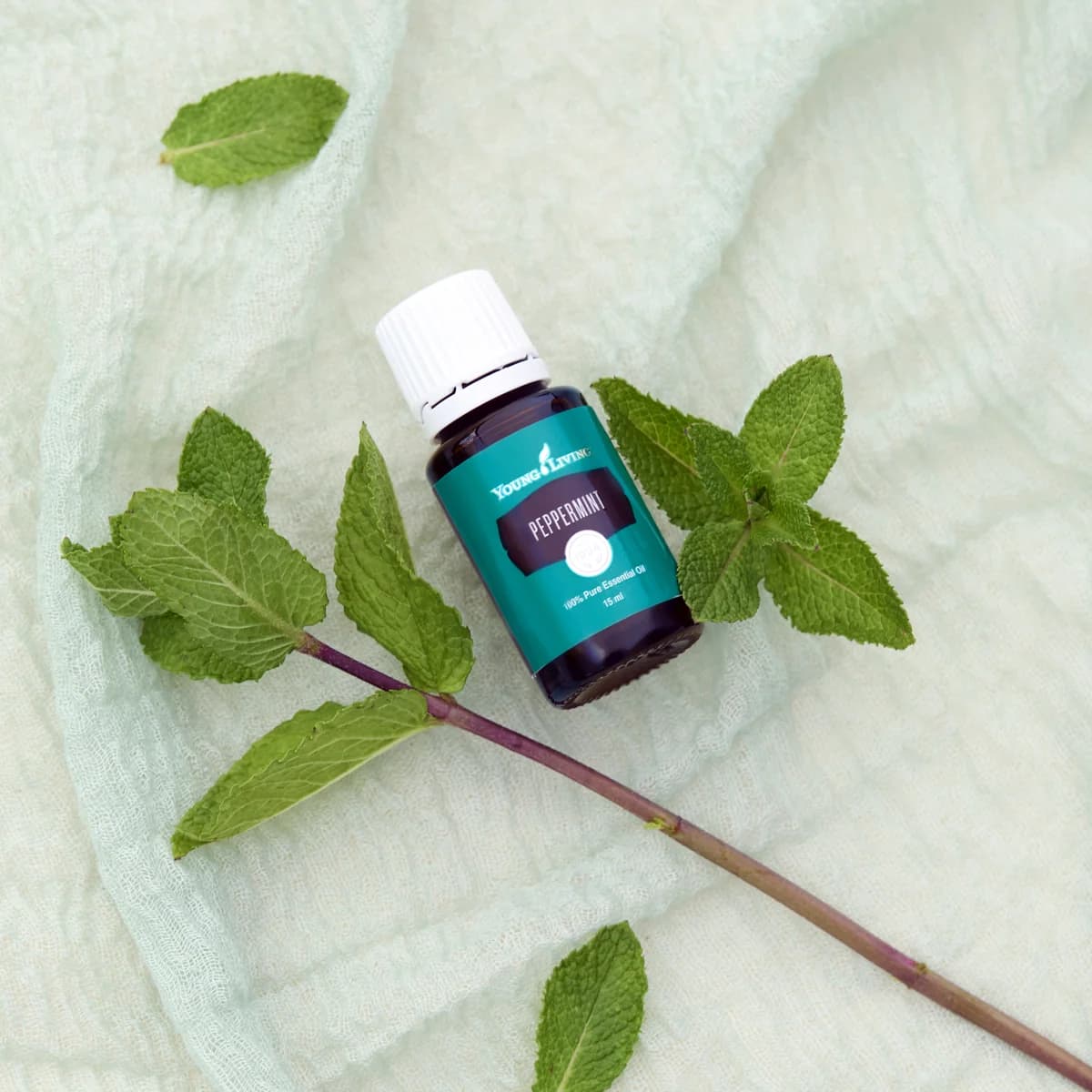 Ein Fläschchen Young Living Pfefferminzöl 15 ml liegt auf einem hellgrünen Musselintuch neben einem Minzzweig und einzelnen Minzblättern.