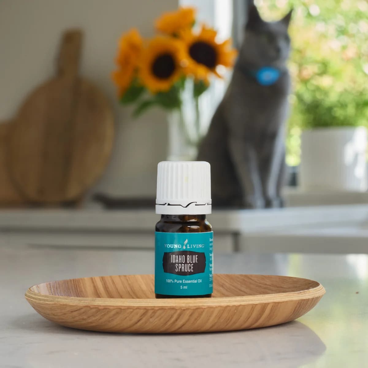 Ein Fläschchen Young Living Idaho Blaufichtenöl 5 ml steht auf einer hellen Holzschale in der Küche, dahinter Sonnenblumen und eine graue Katze am Fenster.