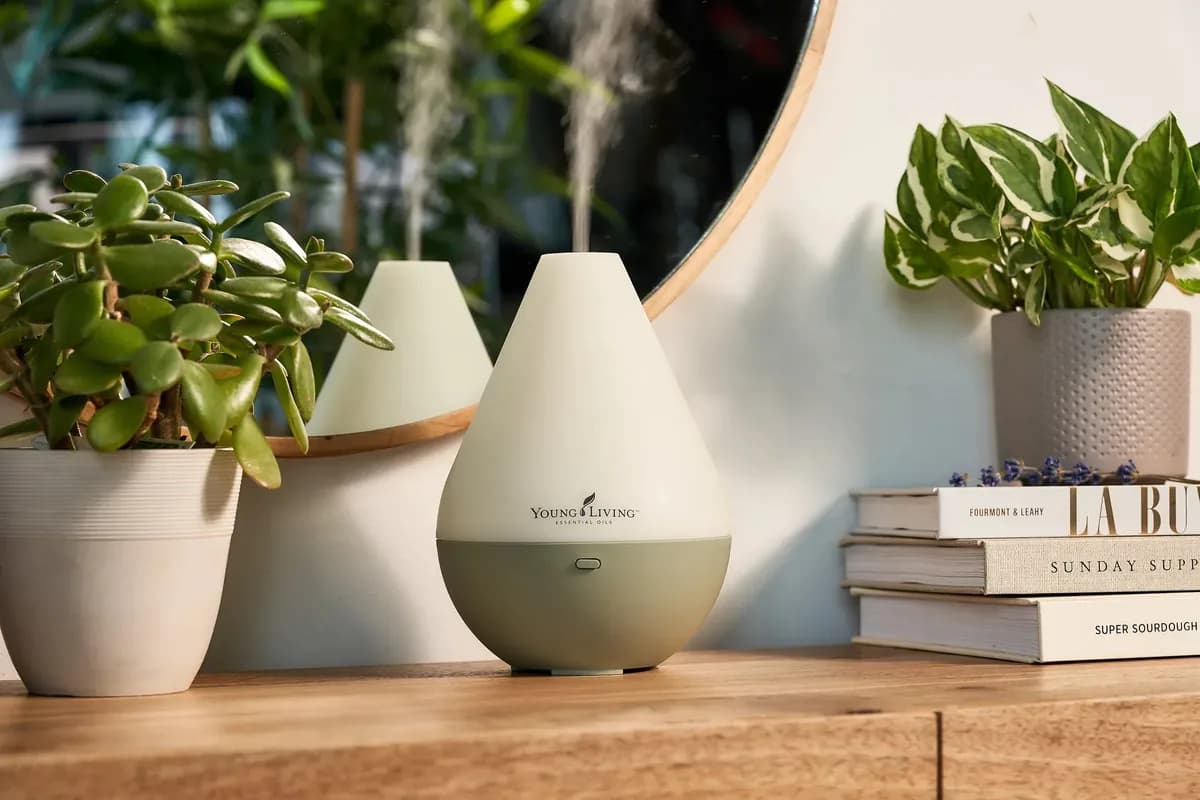 Ein Diffuser mit sichtbarer Dampffahne steht auf einer Holzkommode neben einem runden Spiegel, umgeben von Zimmerpflanzen und einem ordentlichen Bücherstapel, in warmem Licht.