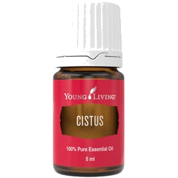 Young Living Zistrose – ätherisches Öl