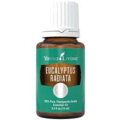 Young Living Eucalyptus Radiata – ätherisches Öl