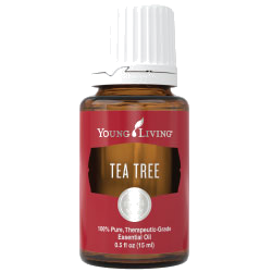 Young Living Teebaum – ätherisches Öl