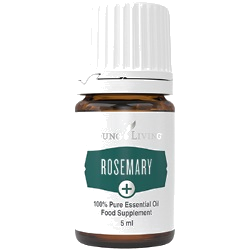 Young Living Rosmarin – ätherisches Öl